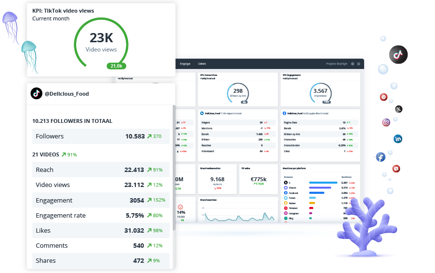 TikTok Report Analytics